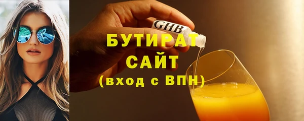 мдпв Ельня