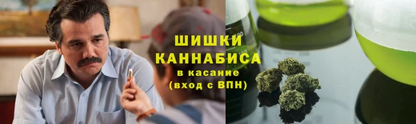 ешки Шали