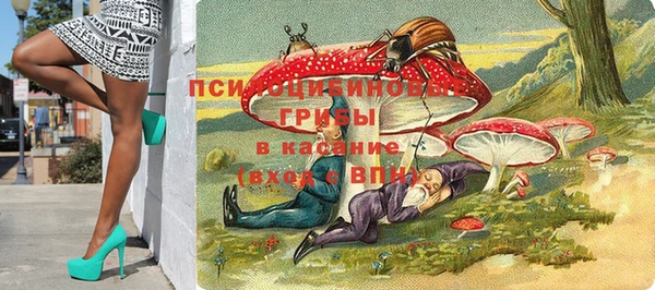 ешки Шали