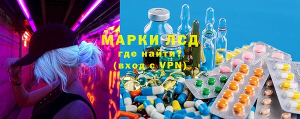 мдпв Ельня