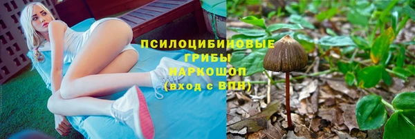 дурь Шарыпово