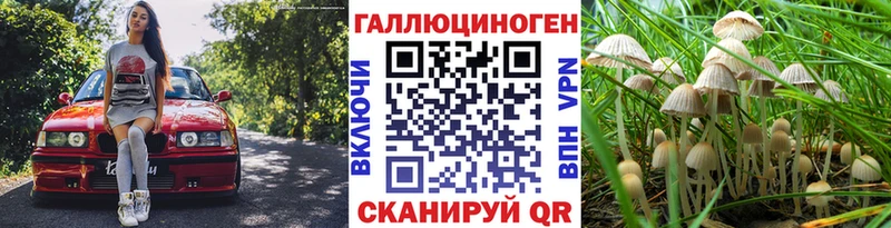 Псилоцибиновые грибы Psilocybine cubensis  купить наркоту  Грайворон 