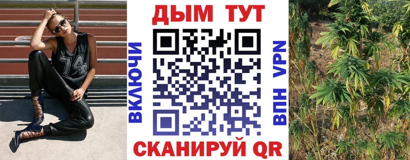 Бошки Шишки THC 21%  МЕГА ТОР  Грайворон  где найти наркотики 